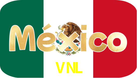 VNL Logo